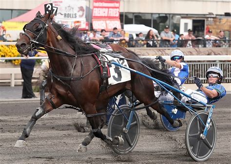 usta harness racing entries and results.